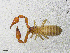  ( - BGE_00507_D02)  @11 [ ] Copyright (2024) Unspecified Croatian Biospeleological Society