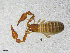  ( - BGE_00507_D03)  @11 [ ] Copyright (2024) Unspecified Croatian Biospeleological Society