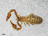  ( - BGE_00507_D03)  @11 [ ] Copyright (2024) Unspecified Croatian Biospeleological Society