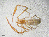  ( - BGE_00507_D04)  @11 [ ] Copyright (2024) Unspecified Croatian Biospeleological Society