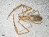  ( - BGE_00507_D04)  @11 [ ] Copyright (2024) Unspecified Croatian Biospeleological Society