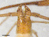  ( - BGE_00507_D05)  @11 [ ] Copyright (2024) Unspecified Croatian Biospeleological Society