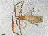  ( - BGE_00507_D05)  @11 [ ] Copyright (2024) Unspecified Croatian Biospeleological Society