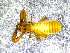  ( - BGE_00507_D08)  @11 [ ] Copyright (2024) Unspecified Croatian Biospeleological Society