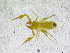  ( - BGE_00502_E02)  @11 [ ] Copyright (2024) Unspecified Croatian Biospeleological Society