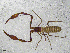  ( - BGE_00507_D11)  @11 [ ] Copyright (2024) Unspecified Croatian Biospeleological Society