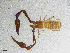  ( - BGE_00507_E01)  @11 [ ] Copyright (2024) Unspecified Croatian Biospeleological Society