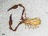  ( - BGE_00507_E01)  @11 [ ] Copyright (2024) Unspecified Croatian Biospeleological Society