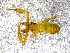  ( - BGE_00507_E06)  @11 [ ] Copyright (2024) Unspecified Croatian Biospeleological Society