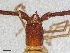  ( - BGE_00507_E07)  @11 [ ] Copyright (2024) Unspecified Croatian Biospeleological Society