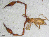  ( - BGE_00507_E07)  @11 [ ] Copyright (2024) Unspecified Croatian Biospeleological Society