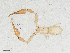  ( - BGE_00507_E11)  @11 [ ] Copyright (2024) Unspecified Croatian Biospeleological Society