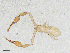  ( - BGE_00507_E11)  @11 [ ] Copyright (2024) Unspecified Croatian Biospeleological Society