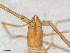  ( - BGE_00507_F02)  @11 [ ] Copyright (2024) Unspecified Croatian Biospeleological Society