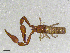  ( - BGE_00507_F06)  @11 [ ] Copyright (2024) Unspecified Croatian Biospeleological Society