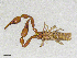  ( - BGE_00507_F06)  @11 [ ] Copyright (2024) Unspecified Croatian Biospeleological Society