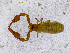  ( - BGE_00507_F08)  @11 [ ] Copyright (2024) Unspecified Croatian Biospeleological Society