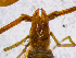  ( - BGE_00507_F09)  @11 [ ] Copyright (2024) Unspecified Croatian Biospeleological Society