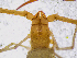  ( - BGE_00507_F10)  @11 [ ] Copyright (2024) Unspecified Croatian Biospeleological Society