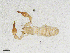  ( - BGE_00507_F12)  @11 [ ] Copyright (2024) Unspecified Croatian Biospeleological Society