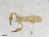  ( - BGE_00507_F12)  @11 [ ] Copyright (2024) Unspecified Croatian Biospeleological Society