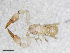  ( - BGE_00507_G05)  @11 [ ] Copyright (2024) Unspecified Croatian Biospeleological Society