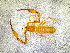  ( - BGE_00507_G08)  @11 [ ] Copyright (2024) Unspecified Croatian Biospeleological Society
