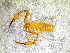  ( - BGE_00507_G08)  @11 [ ] Copyright (2024) Unspecified Croatian Biospeleological Society