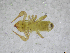  ( - BGE_00502_E09)  @11 [ ] Copyright (2024) Unspecified Croatian Biospeleological Society