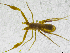  ( - BGE_00501_D11)  @11 [ ] Copyright (2024) Unspecified Croatian Biospeleological Society