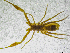  ( - BGE_00501_D11)  @11 [ ] Copyright (2024) Unspecified Croatian Biospeleological Society