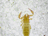  ( - BGE_00502_E10)  @11 [ ] Copyright (2024) Unspecified Croatian Biospeleological Society