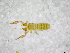  ( - BGE_00502_E11)  @11 [ ] Copyright (2024) Unspecified Croatian Biospeleological Society