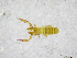 ( - BGE_00502_E12)  @11 [ ] Copyright (2024) Unspecified Croatian Biospeleological Society