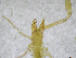  ( - BGE_00502_F01)  @11 [ ] Copyright (2024) Unspecified Croatian Biospeleological Society