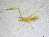  ( - BGE_00502_F01)  @11 [ ] Copyright (2024) Unspecified Croatian Biospeleological Society
