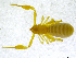  ( - BGE_00501_E03)  @11 [ ] Copyright (2024) Unspecified Croatian Biospeleological Society