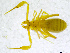  ( - BGE_00501_E04)  @11 [ ] Copyright (2024) Unspecified Croatian Biospeleological Society