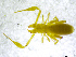  ( - BGE_00501_E05)  @11 [ ] Copyright (2024) Unspecified Croatian Biospeleological Society