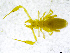  ( - BGE_00501_E05)  @11 [ ] Copyright (2024) Unspecified Croatian Biospeleological Society
