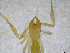  ( - BGE_00502_F02)  @11 [ ] Copyright (2024) Unspecified Croatian Biospeleological Society