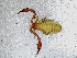 ( - BGE_00501_A06)  @11 [ ] Copyright (2024) Unspecified Croatian Biospeleological Society