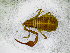  ( - BGE_00507_C04)  @11 [ ] Copyright (2024) Unspecified Croatian Biospeleological Society