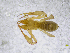  ( - BGE_00507_C01)  @11 [ ] Copyright (2024) Unspecified Croatian Biospeleological Society