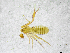  ( - BGE_00502_F04)  @11 [ ] Copyright (2024) Unspecified Croatian Biospeleological Society