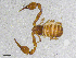  ( - BGE_00507_B04)  @11 [ ] Copyright (2024) Unspecified Croatian Biospeleological Society