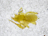  ( - BGE_00502_F06)  @11 [ ] Copyright (2024) Unspecified Croatian Biospeleological Society