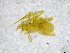  ( - BGE_00502_F06)  @11 [ ] Copyright (2024) Unspecified Croatian Biospeleological Society