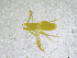  ( - BGE_00502_F07)  @11 [ ] Copyright (2024) Unspecified Croatian Biospeleological Society