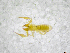  ( - BGE_00502_F08)  @11 [ ] Copyright (2024) Unspecified Croatian Biospeleological Society